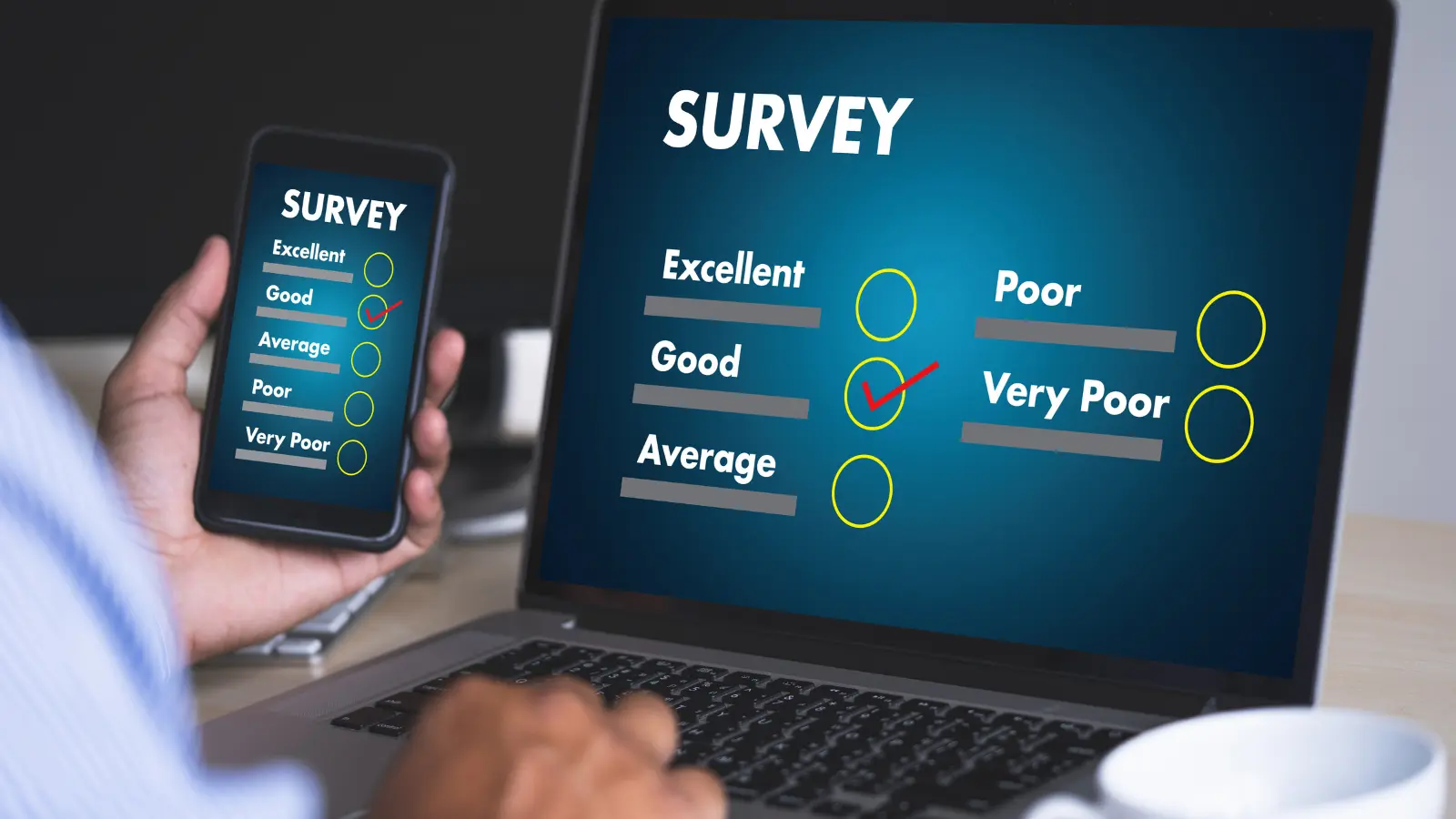 Online Survey